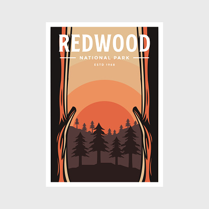 Redwood National Park poster vector illustration design