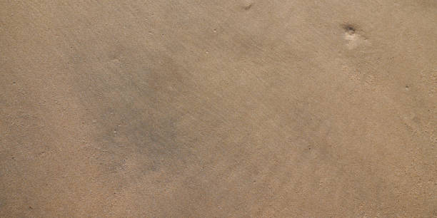 texture beach sand in summer sun brown sandy background panoramic wave pattern for web header panorama - sandy brown fotos imagens e fotografias de stock