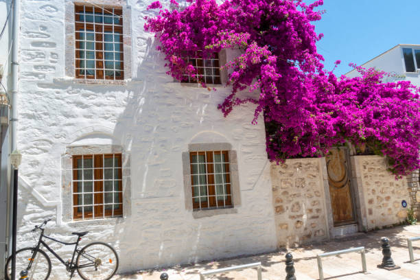 Aegean architecture, Bodrum stock photo