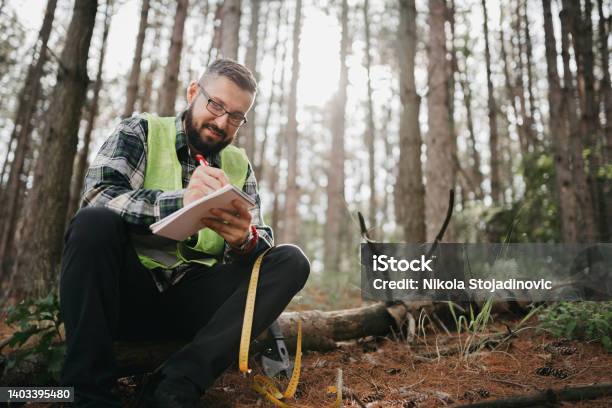 Forest Ranger On A Walk Stock Photo - Download Image Now - Park Ranger, Environment, Forest