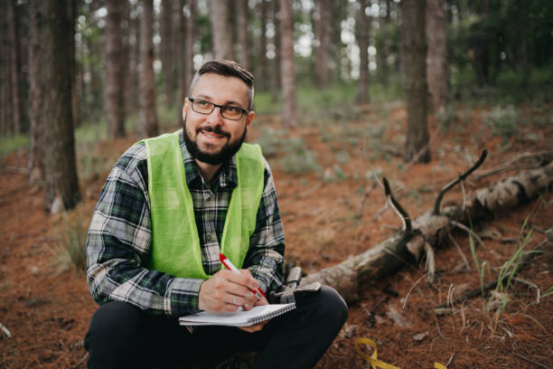 Forester studying environmental stock photo