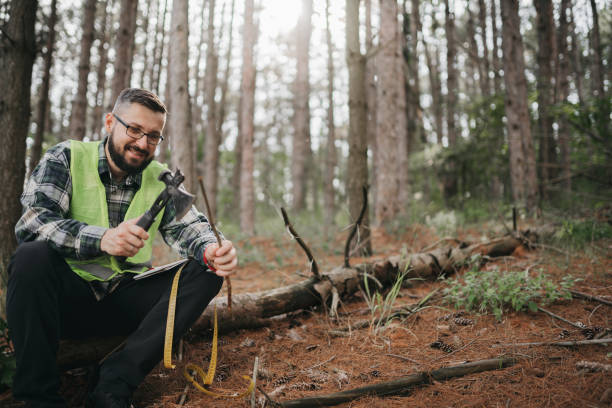 istock Forester examines trees in their natural condition 1403396703