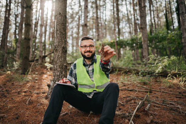 istock Forester examines trees in their natural condition 1403398193
