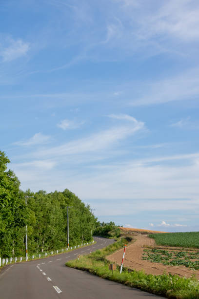 istock Road through the fields on a sunny day in summer 1403399820