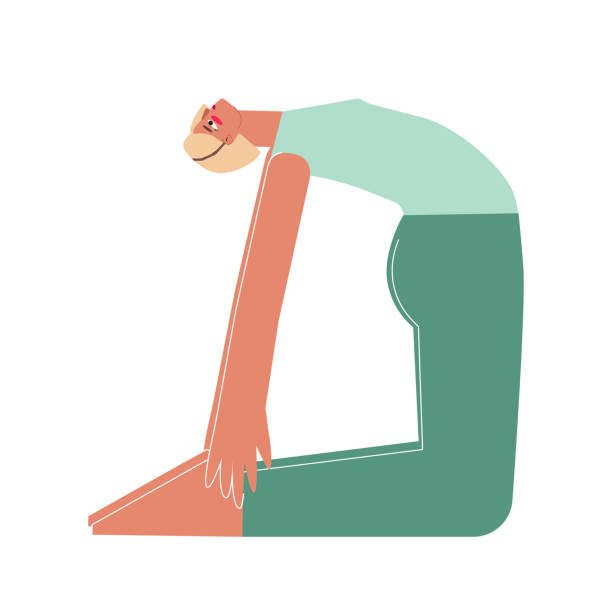 Vector isolated concept with flat female character. Strong woman learns posture with Backbend - Ustrasana at yoga class. Fitness exercise - Camel Pose Vector isolated concept with flat female character. Strong woman learns posture with Backbend - Ustrasana at yoga class. Fitness exercise - Camel Pose ustrasana stock illustrations