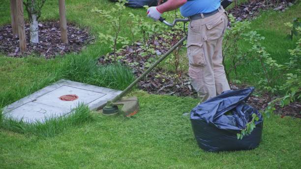 istock Gardener Mowing Grass Lawn using Petrol Brushcutter 1403400868