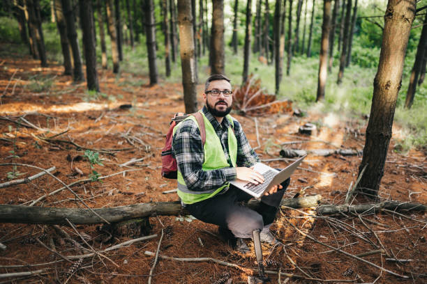 ocena lasów - lumber industry reforestation tree forest zdjęcia i obrazy z banku zdjęć