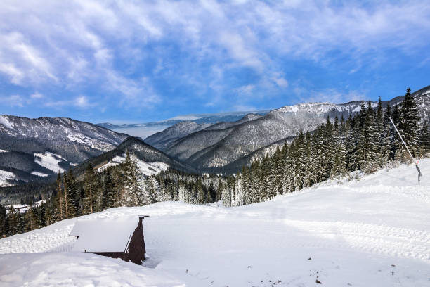istock winter mountain landscape, Austria 1403406395