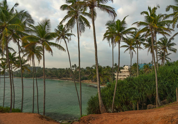 istock Ocean view with palms, Mirissa, Sri Lanka 1403406653