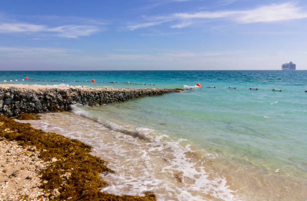 Sir Bani Yas island sand beach, Abu Dhabi, UAE