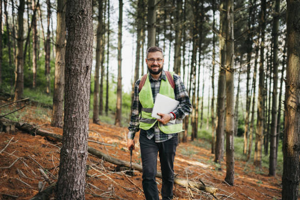 istock Day in the life of forest ecologist 1403408662