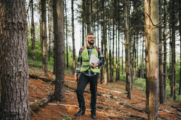 istock Day in the life of forest ecologist 1403410009