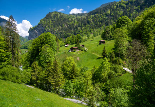 traumhafte alpenlandschaft im dorf lauterbrunnen mit grüner wiese in der schweiz - hill grindelwald village landscape stock-fotos und bilder
