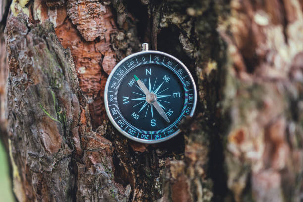 Compass Bush 70+ Vintage Sun Compass Rose Stock Photos, Pictures & Royalty-Free ...