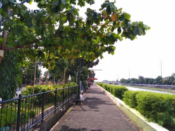 istock a footpath built along the Pleret river channel, Semarang city 1403422741
