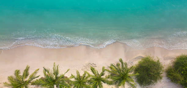 vue aérienne de la plage de palmiers tropical d’été et de la plage de sable et de l’océan avec fond de vagues - horizon over water white green blue photos et images de collection