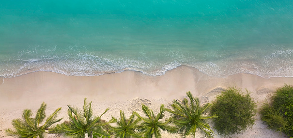 Aerial view of Tropical  Summer palm beach and sandy beach and ocean with waves background