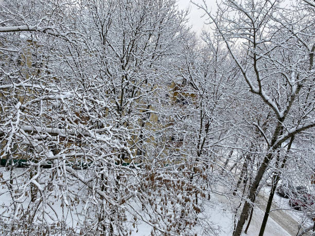 istock winter in city yard at cloudy day after snowfall 1403425071
