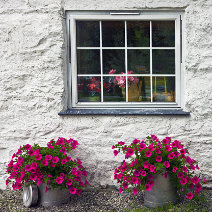Wall and window of the house and flowers.