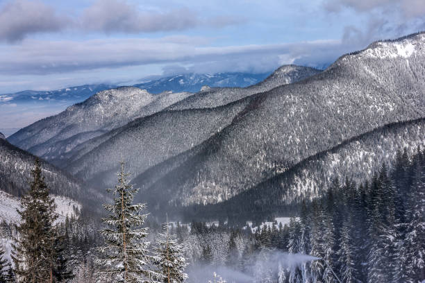 istock winter mountain forest snow landscape 1403425383
