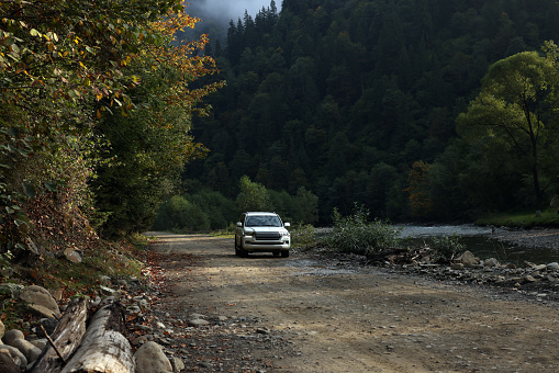 Modern white car on pathway in forest