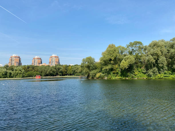 istock summer in city park at dry sunny day 1403425507