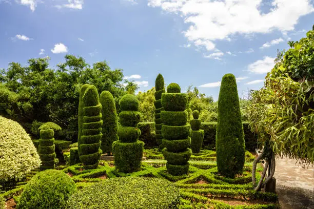 Photo of Park in Funchal, Madeira, Portugal