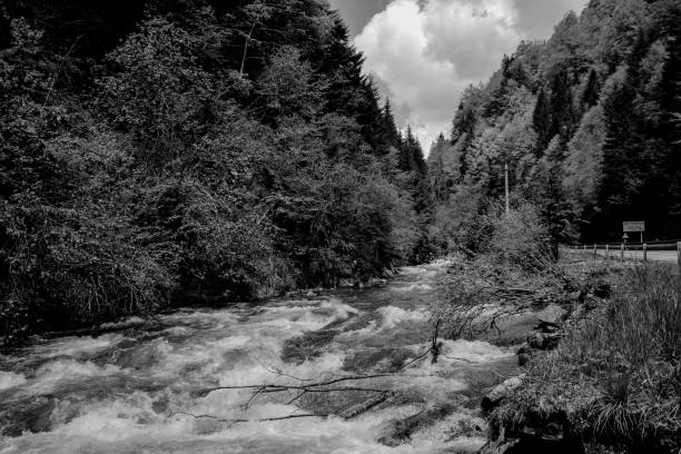 istock Black and white photo of a mountain fast cold river. 1403425537