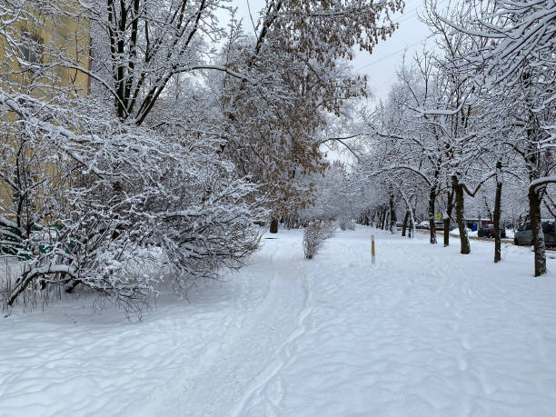 istock winter in city yard at cloudy day after snowfall 1403425583