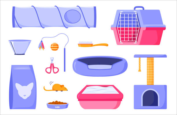 Cat supplies set for domestic pets. Pet food, scratching post, toilet, comb, scissors, feather toy, mouse, carrier, collar cone and bed. Products and accessories for animals. Flat design vector illustration Cat supplies set for domestic pets. Pet food, scratching post, toilet, comb, scissors, feather toy, mouse, carrier, collar cone and bed. Products and accessories for animals. Flat design vector illustration dog bed stock illustrations