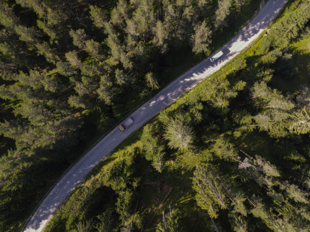 istock Aerial road trip in green pine forest. 1403426575