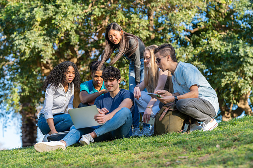 Group of teenage friends looking at laptop in the park on green grass. Three boys and three girls