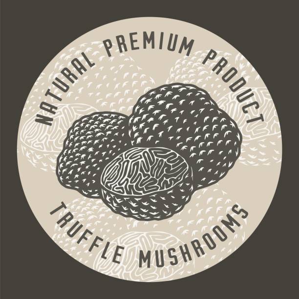 Autumn forest truffle mushroom picking set menu Autumn forest truffle mushroom picking, vegetarian menu chanterelle edible mushroom gourmet uncultivated stock illustrations