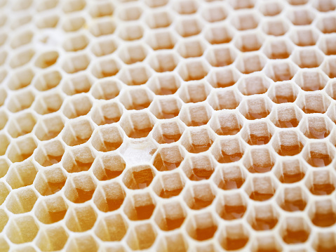 A DSLR close-up photo of a plate with fresh cut slices of honeycomb filled with honey. Decorative wooden plate.