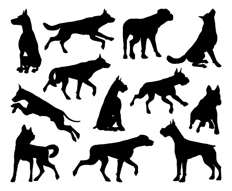 A set of detailed animal silhouettes of a pet dog