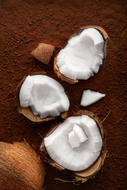 Coconut on a cocoa background viewed from above. Top view stock photo