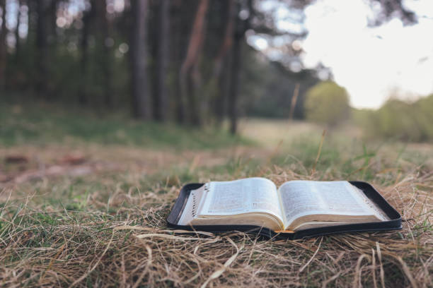 Open bible in a beautiful forest clearing, space for your text Open bible in a beautiful forest clearing, space for your text bible open stock pictures, royalty-free photos & images