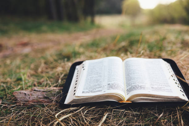 istock Open bible in a beautiful forest clearing, space for your text 1403432409