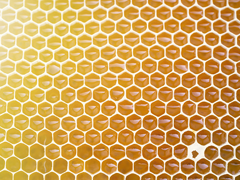 Honey in its most natural state - freshly produced.