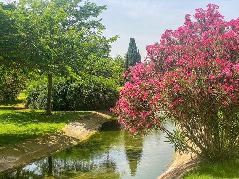 View of artificial river passing along blossoming trees in the Turia Garden in Valencia, Spain