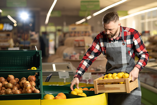 Male supermarket worker setting out lemons on shelf in greengrocer or supermarket