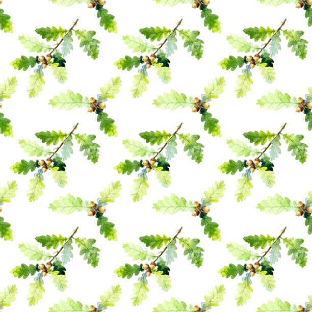 nahtloses muster aus watecolor eichenzweig, grünen blättern und eicheln, isoliert auf weißem hintergrund. handgezeichnet - leaf white background beech leaf branch stock-grafiken, -clipart, -cartoons und -symbole