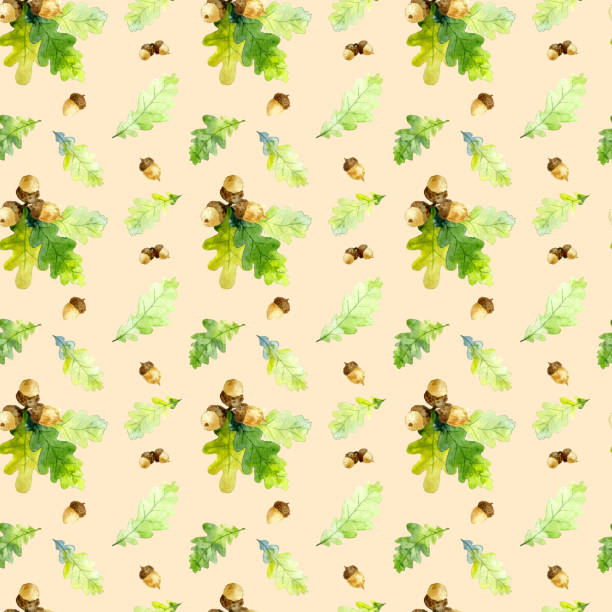 ilustrações de stock, clip art, desenhos animados e ícones de seamless pattern of watecolor oak tree branch, green leaves and acorns isolated on a beige background. hand drawn - beech tree leaf isolated branch