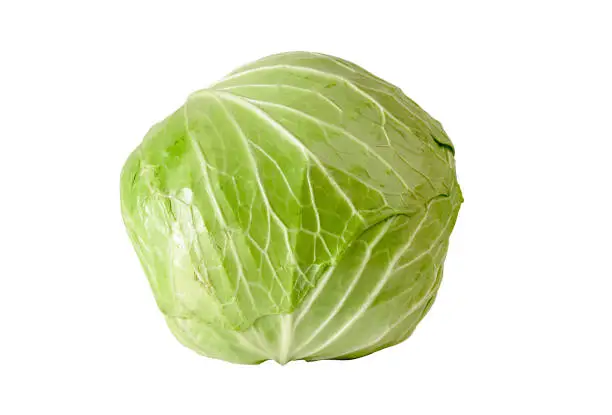 Photo of Cabbage isolated on white background with clipping path.