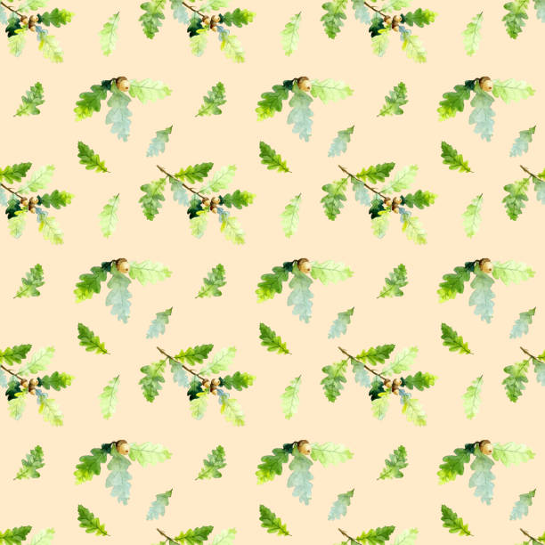 ilustrações de stock, clip art, desenhos animados e ícones de seamless pattern of watecolor oak tree branch, green leaves and acorns isolated on a beige background. hand drawn - beech tree leaf isolated branch