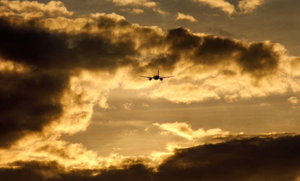 istock Airplane in the cloudy sky. 1403452145