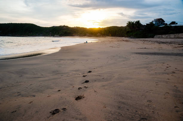 istock Person looking at the infinity on Mazunte beach in Mexico 1403452900