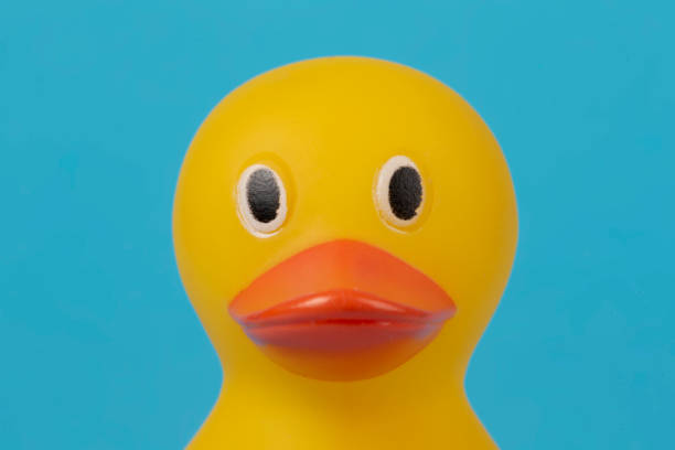 istock Muzzle yellow rubber duck for swimming on a blue background. 1403453935