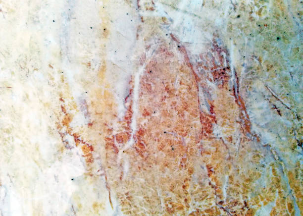 Close up exture of tiles background