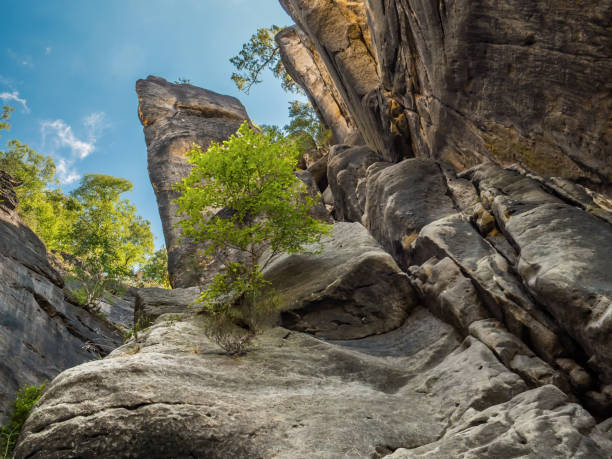 Rübezahlstiege in Saxon Switzerland - Climbing through the rock faces, Rock tower The Rübezahlstiege promises a great climbing adventure between Schwarzes Horn and Abendturm. Together with the Häntzschelstiege it belongs to the most difficult climbing paths. It can be reached coming from Schmilka through the Heringsgrund. rock face stock pictures, royalty-free photos & images